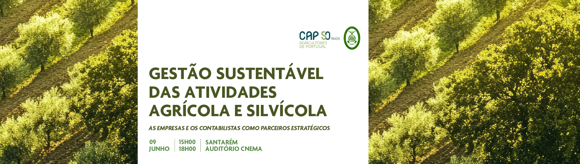 cap_novo