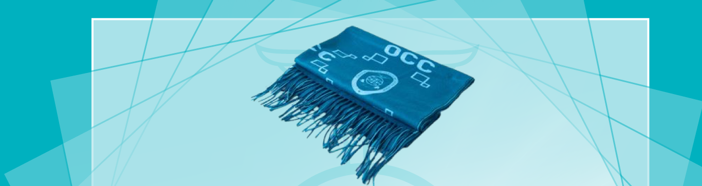 banner echarpe