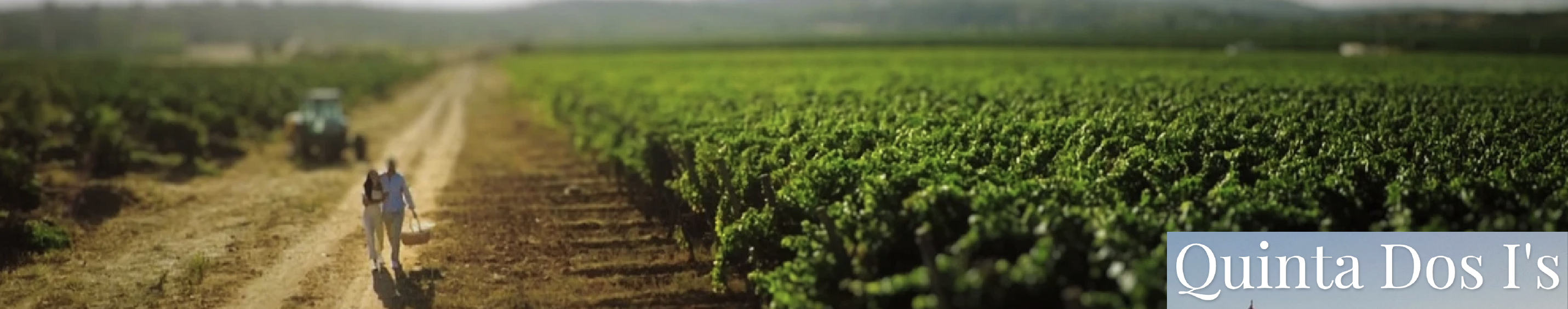 Quinta do I's