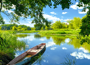 nature1