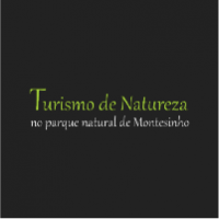 Cepo Verde